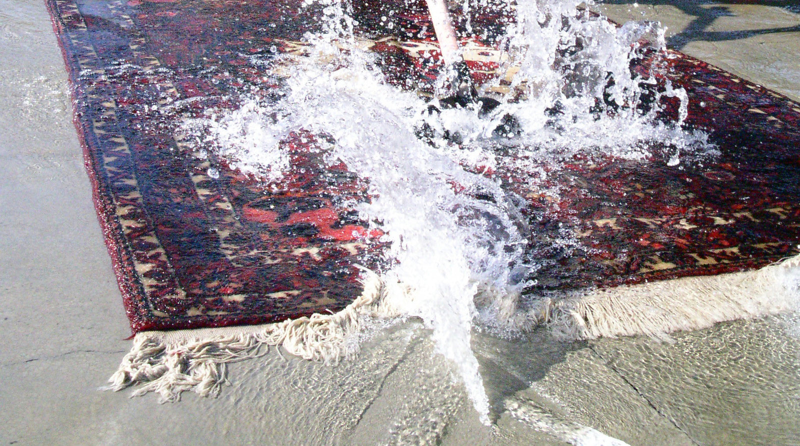 Maintenance of your rugs.