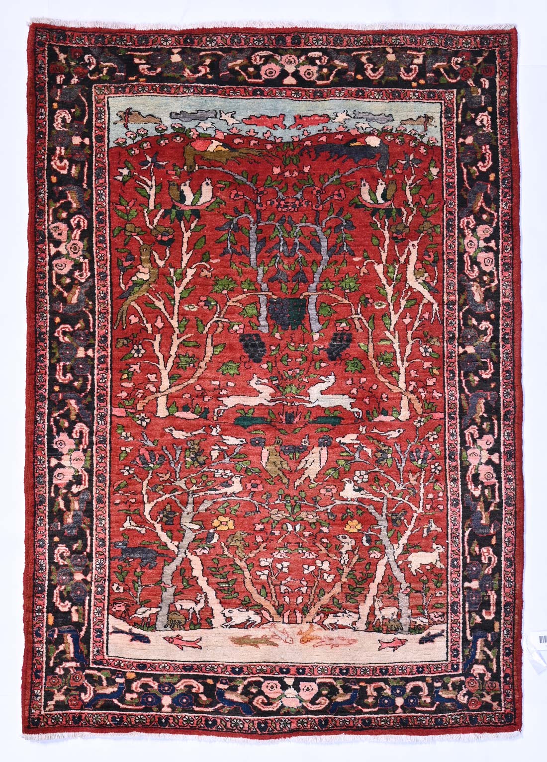 A Bidganeh village rug. No-172379 (199x133cm)