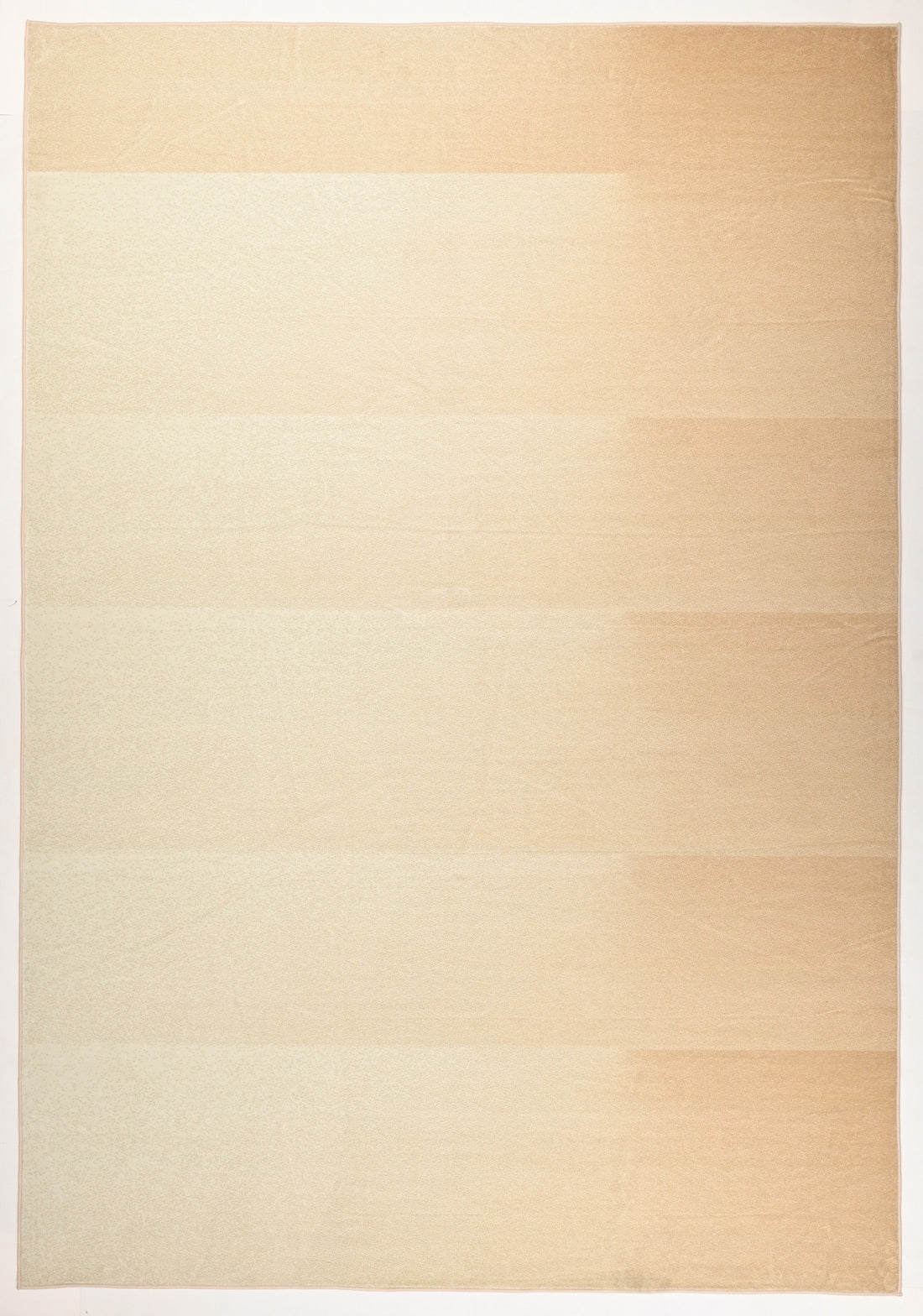A contemporary modern rug