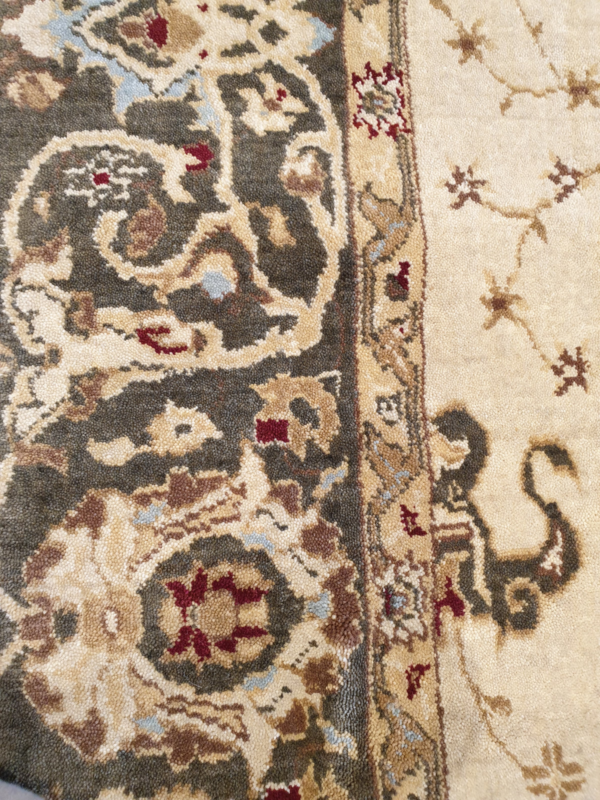 Court; A classic rug.